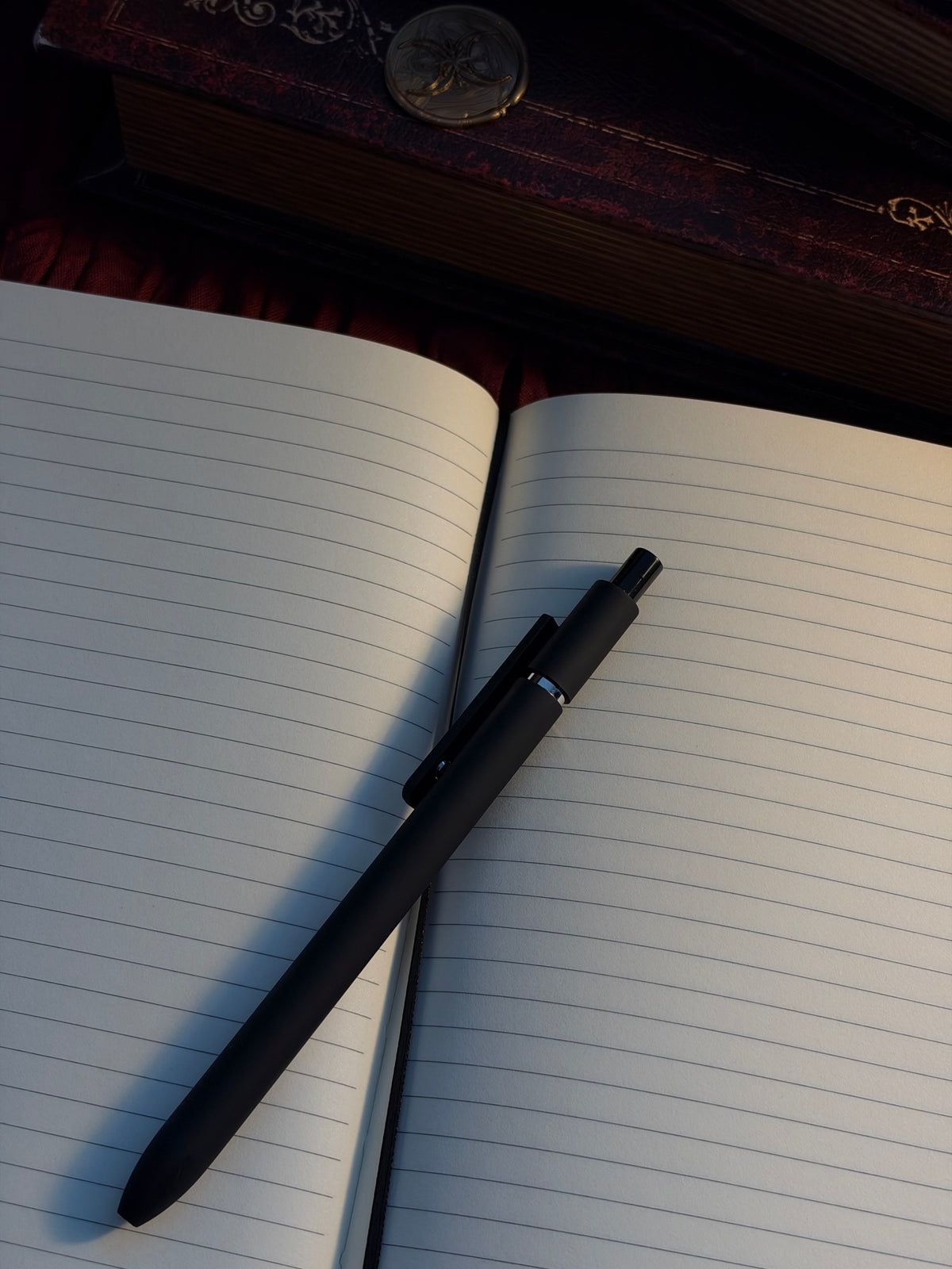 Stars & Chaos Celestial Journal
